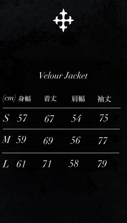 Unveil Velour Pants